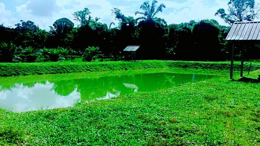 5 Stone Cabin Chalet Taiping Exterior foto